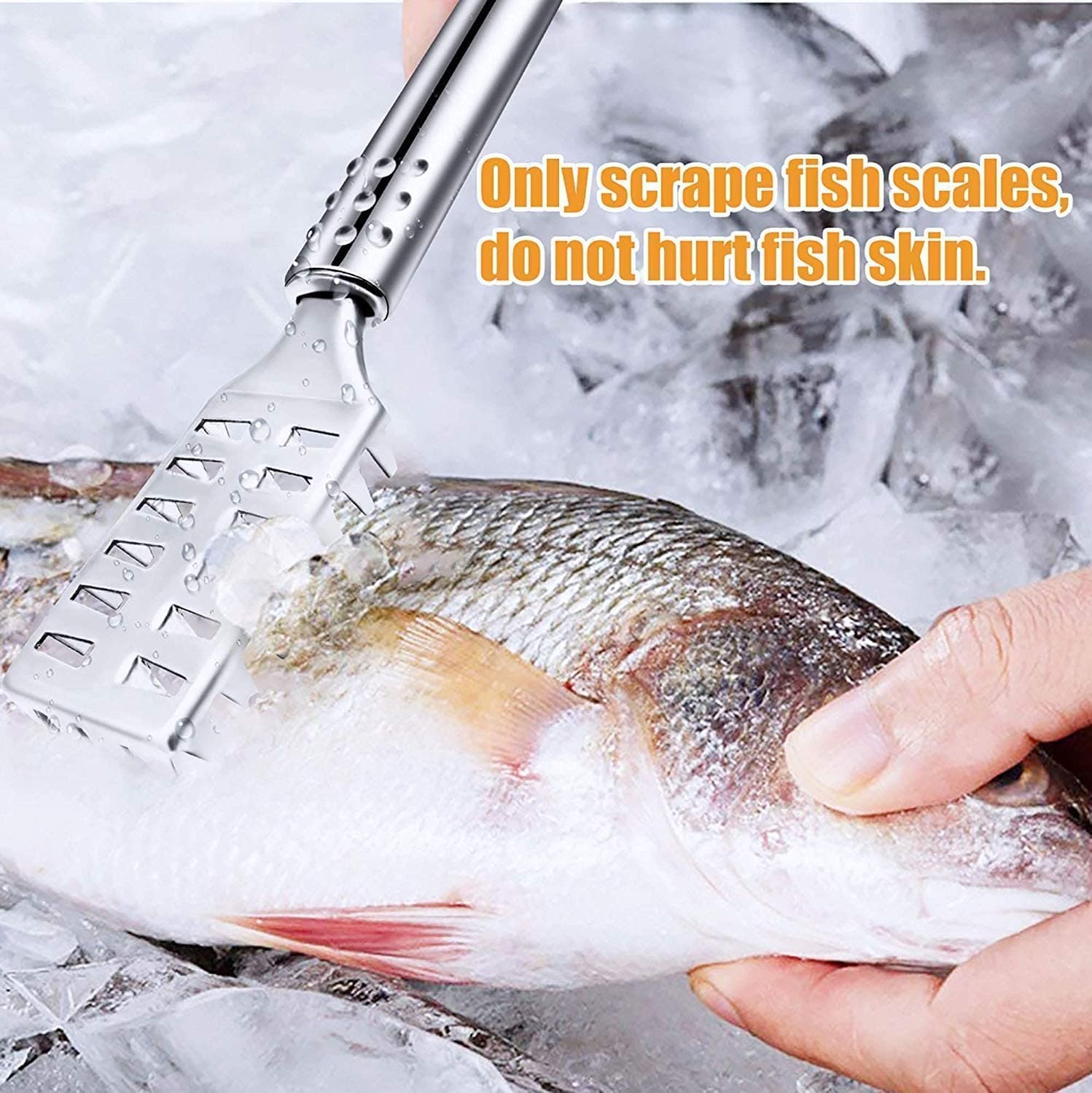 Fish Scale Remover Stainless Steel Sawtooth Fish Scaler | Manual Fish Scale Scraper with Ergonomic Handle, Kitchen Seafood Cleaning Tool for Home & Professional Use - Image 2